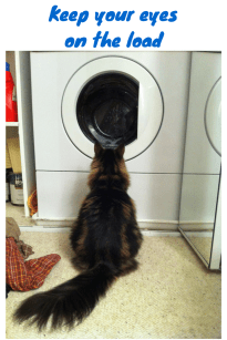 Keep your eyeson the load